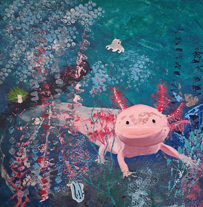 Axolotl